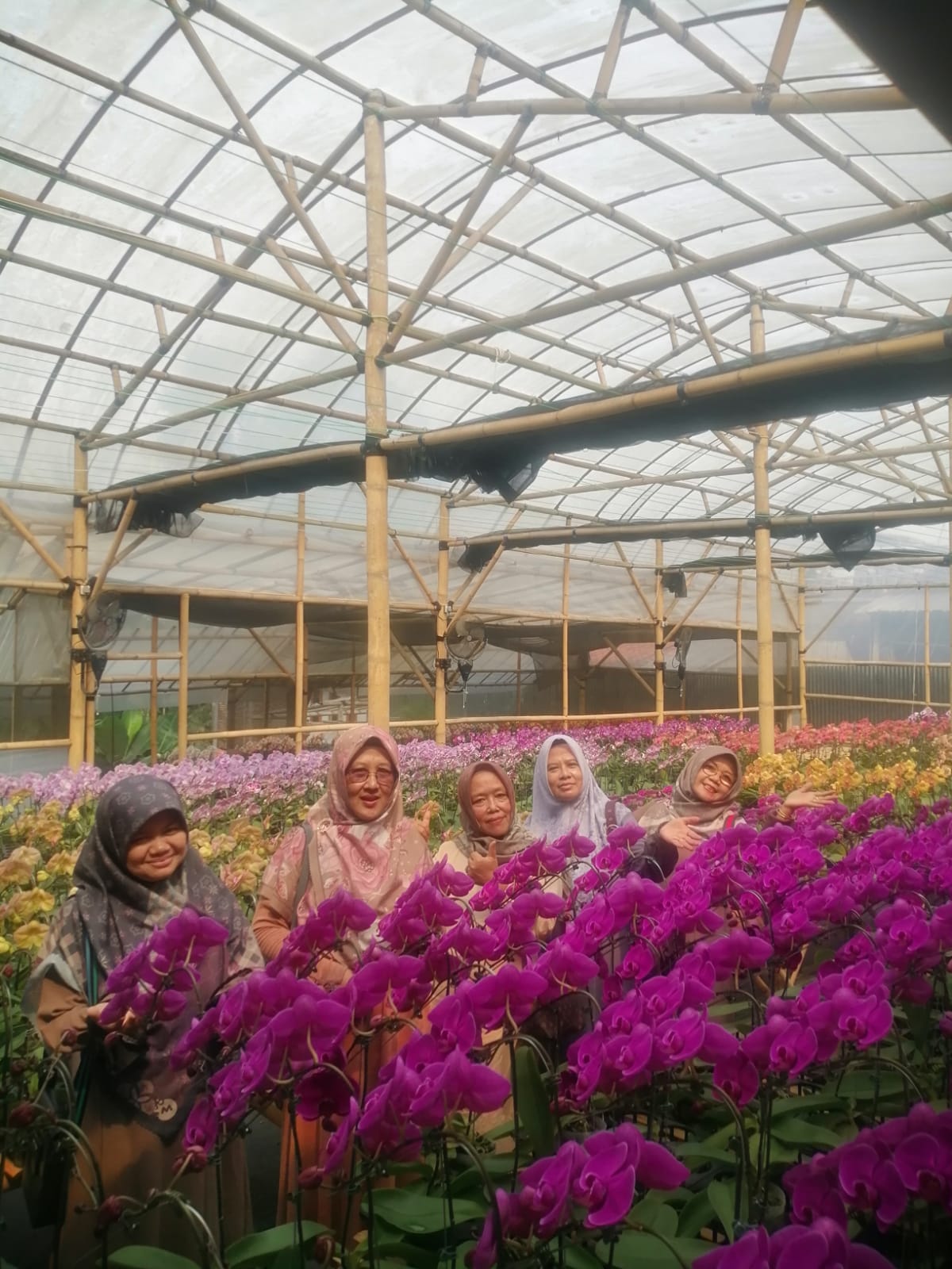 ../images/kegiatan/3135529.jpg