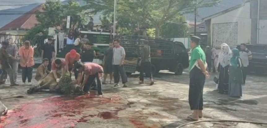 ../images/kegiatan/3137179.jpg