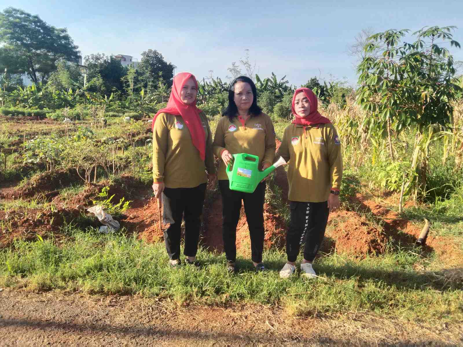 ../images/kegiatan/3163555.jpg