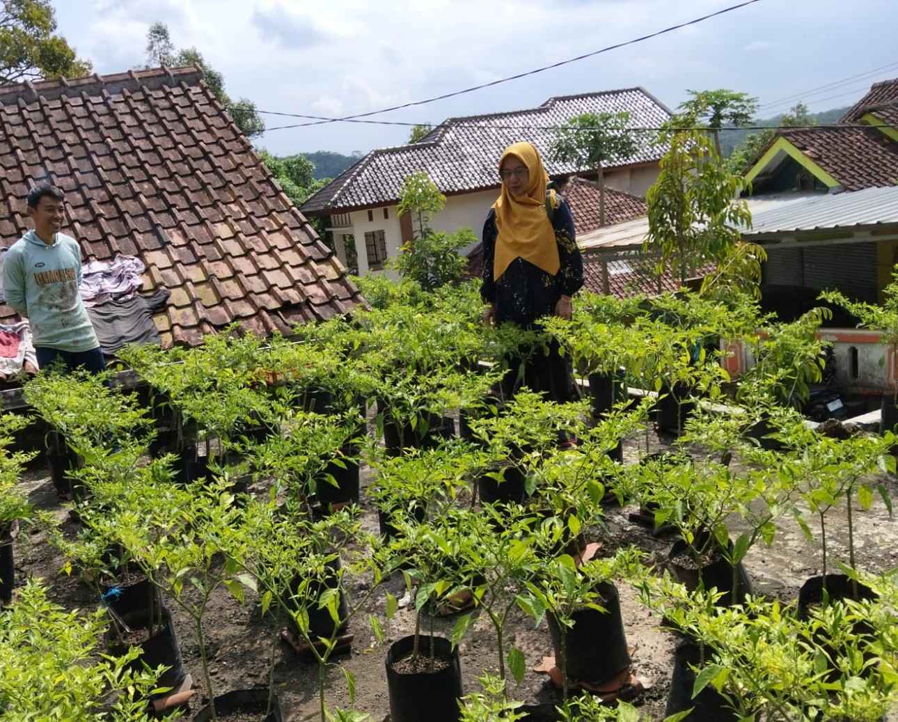 ../images/kegiatan/128211.jpg