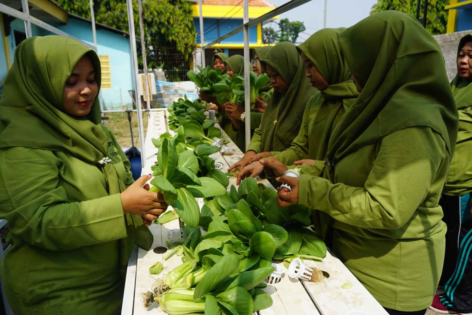 ../images/kegiatan/130608.jpg