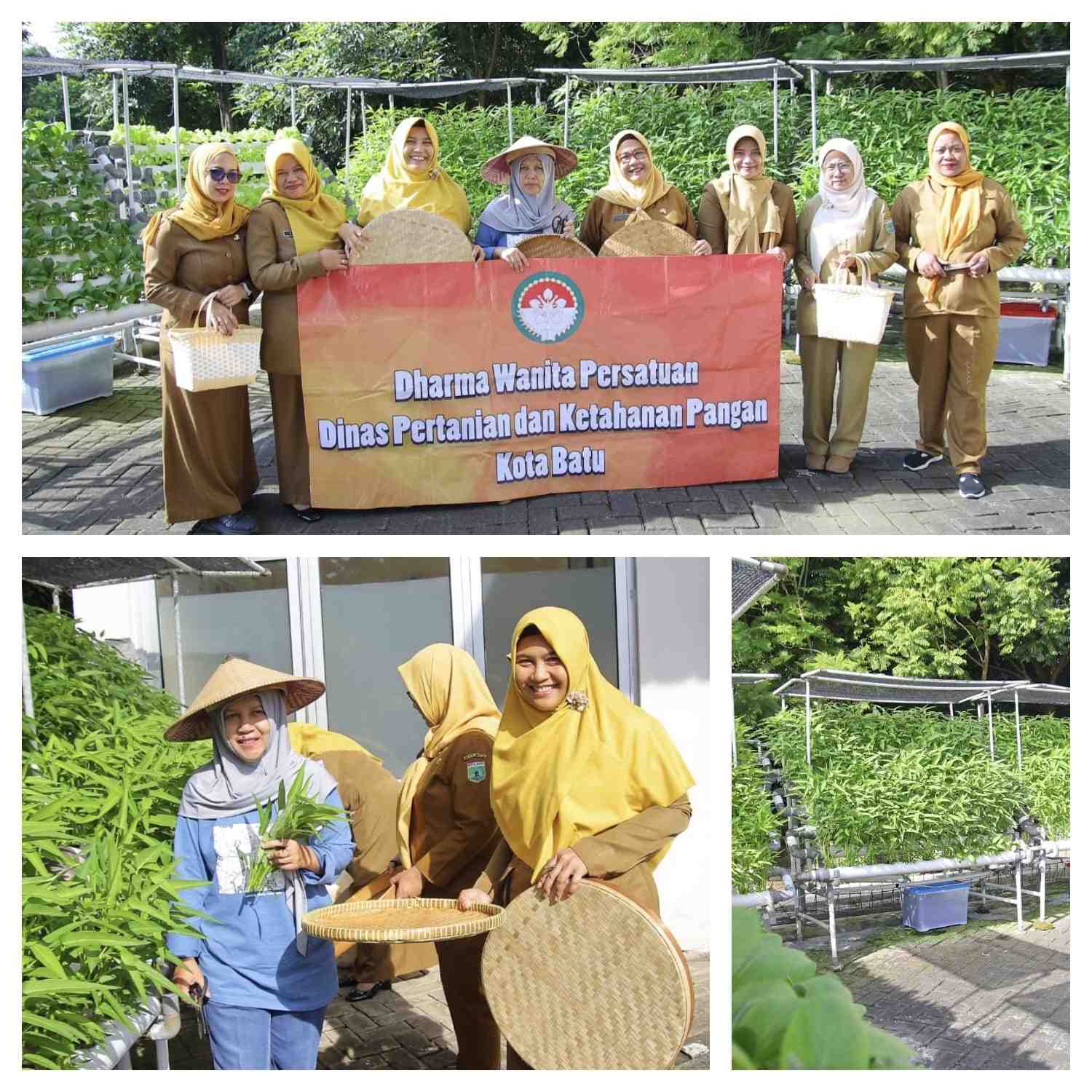 ../images/kegiatan/137117.jpg