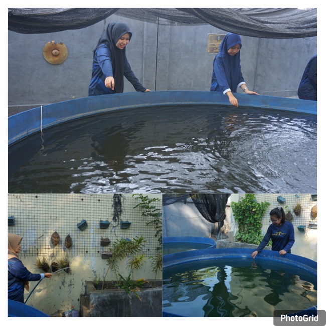 ../images/kegiatan/153788.jpg