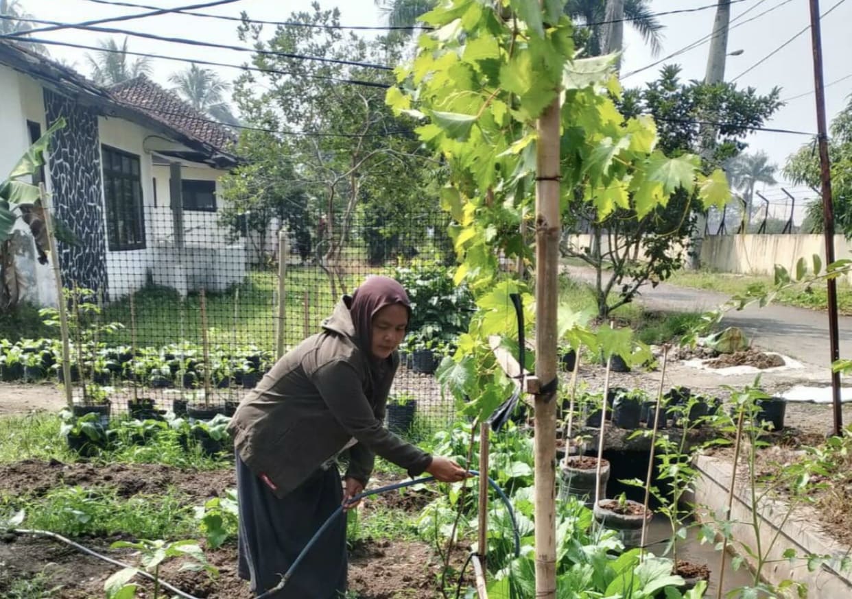 ../images/kegiatan/154493.jpg