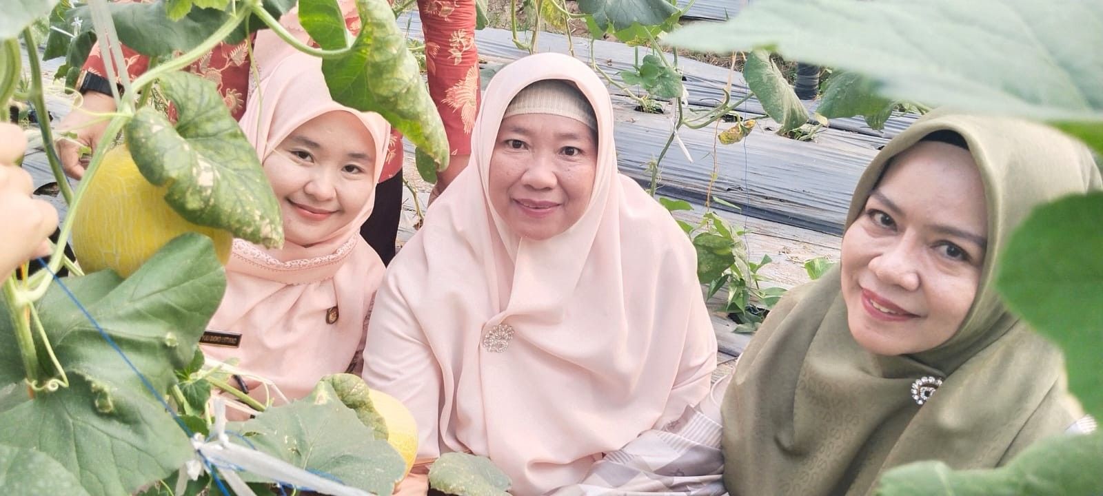 ../images/kegiatan/190387.jpg