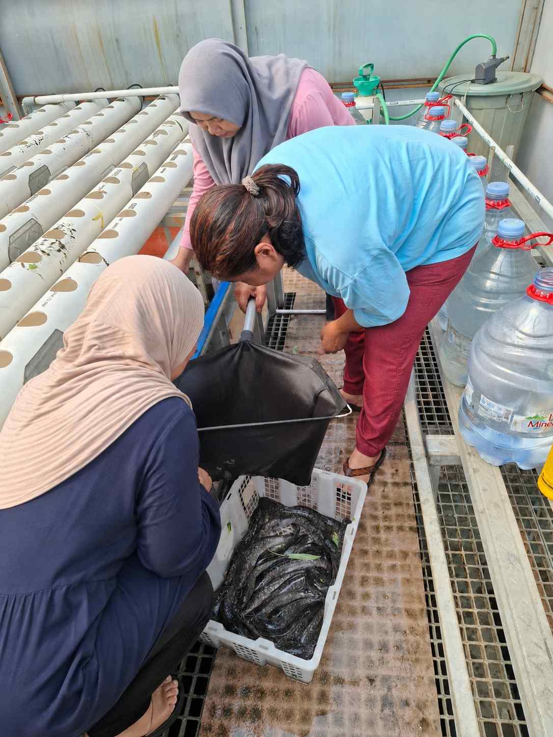 ../images/kegiatan/192089.jpg