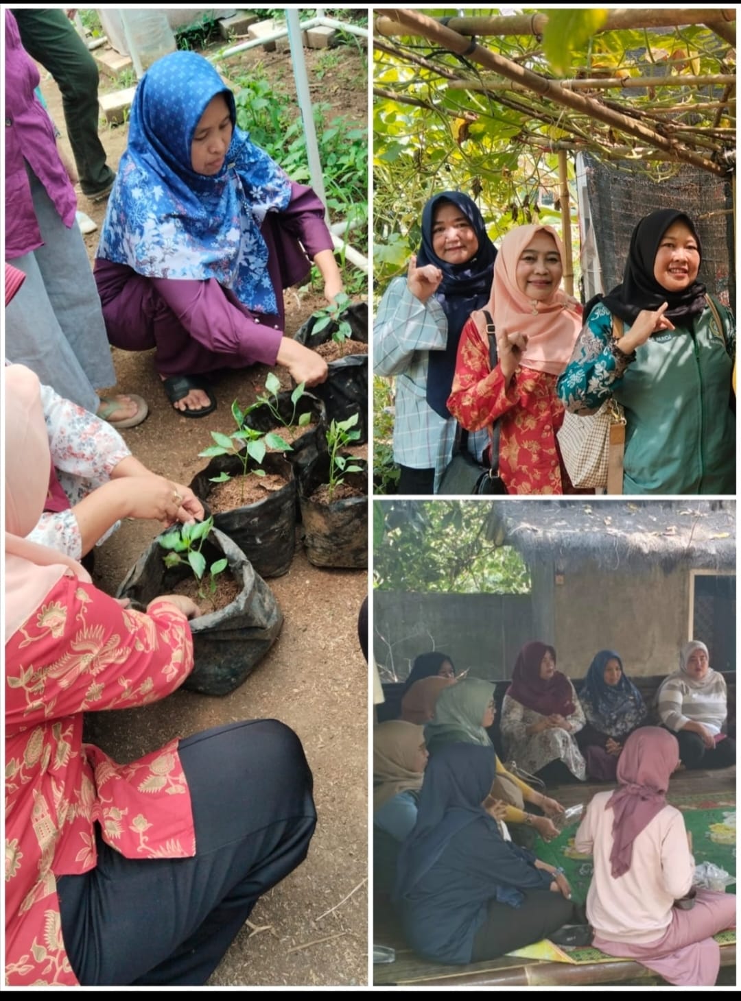 ../images/kegiatan/236191.jpg