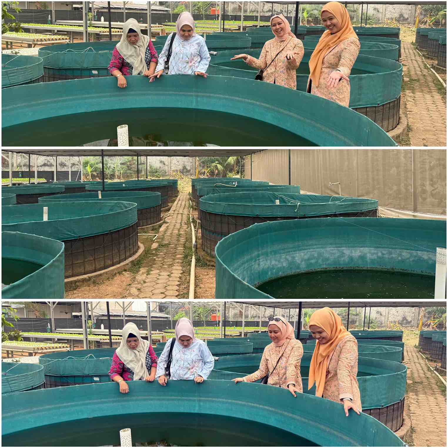 ../images/kegiatan/263282.jpg