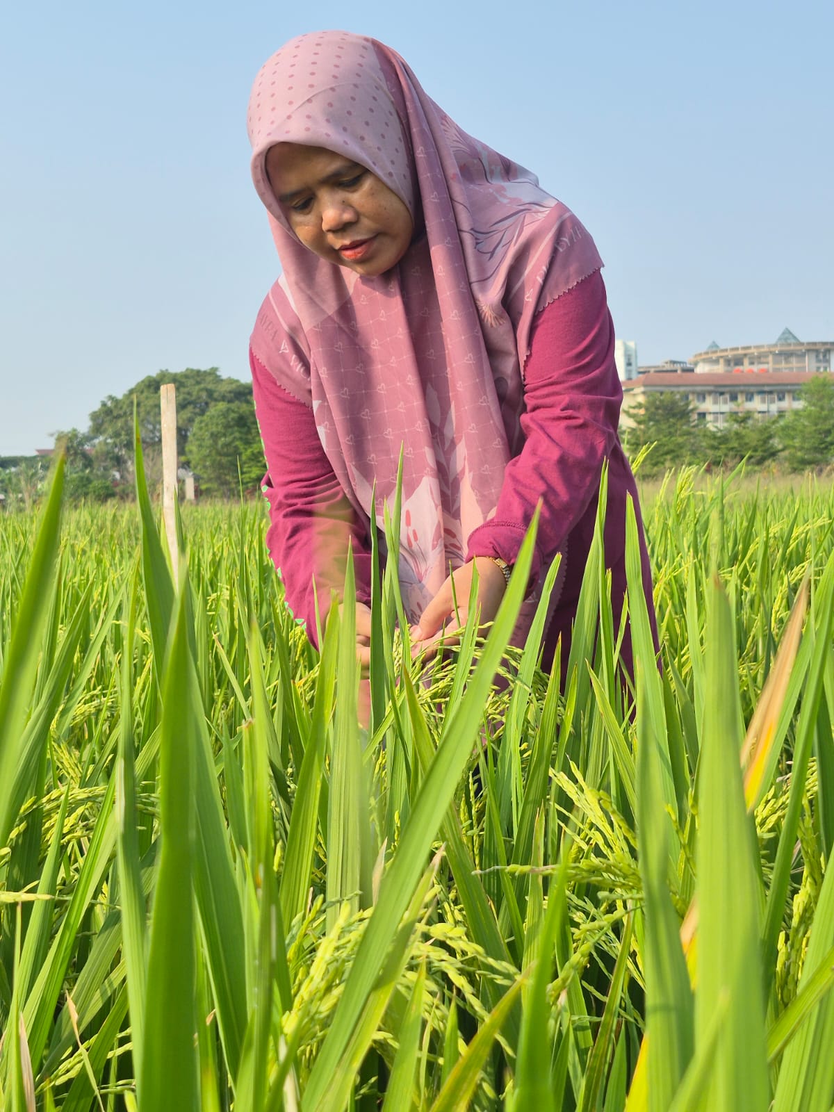 ../images/kegiatan/267429.jpg